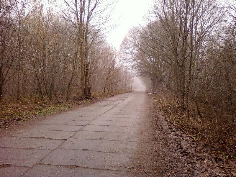 Ulubiona nawierzchnia rowerzystów ;)