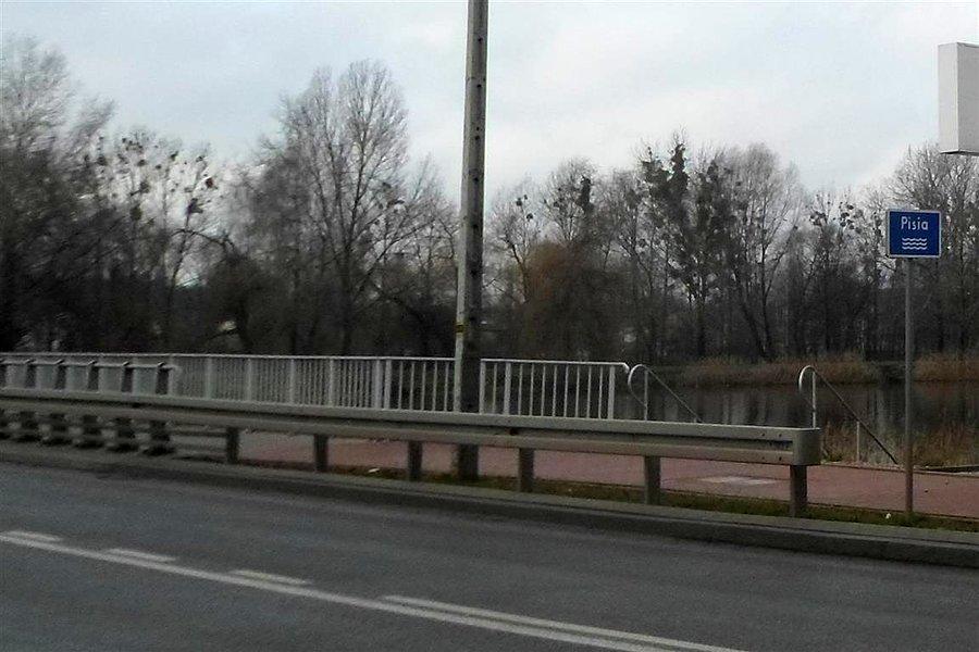Pisia w Żyrardowie