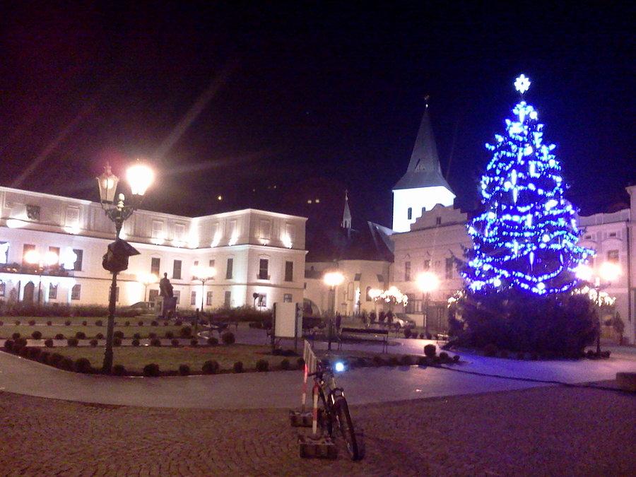 Karwina przed pałacem