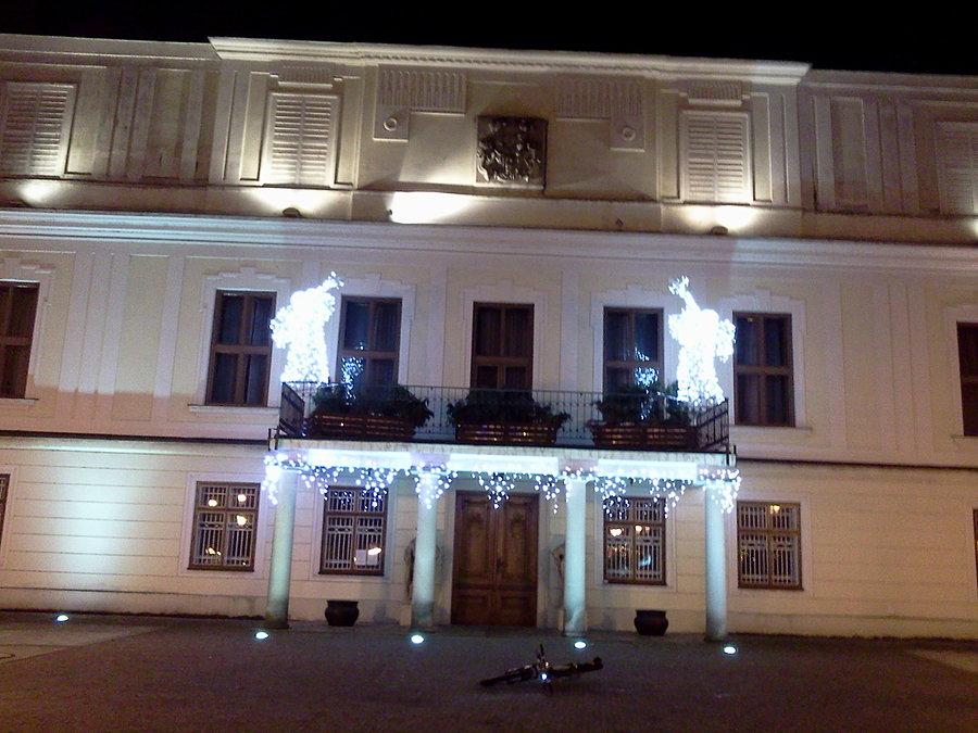 Karwina pałac
