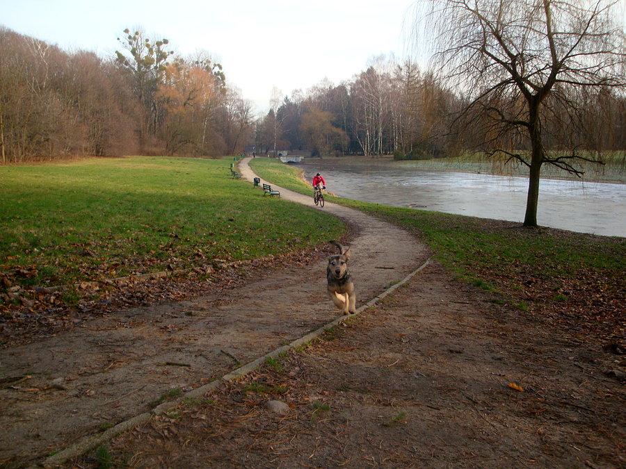 Park na zdrowiu Łódź