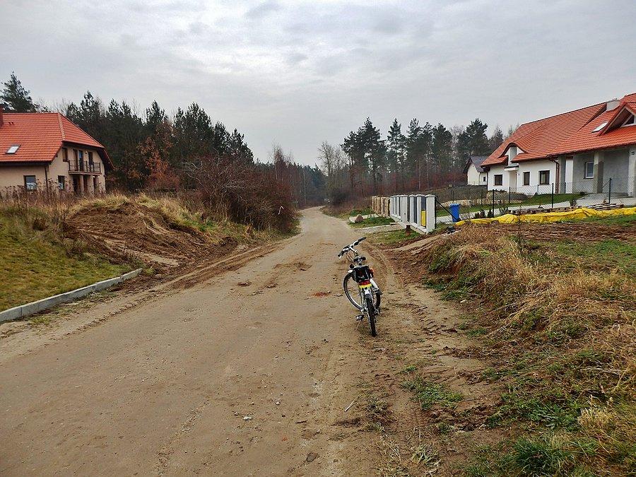 Na trasie wycieczki. Dojazd do Jeziora Rokickiego