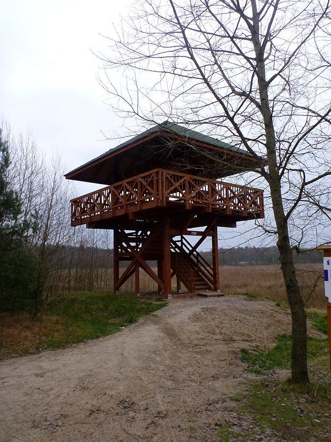 Wieżą widokowa Warszewskiego Wodozbioru - 53.493985,14.556892