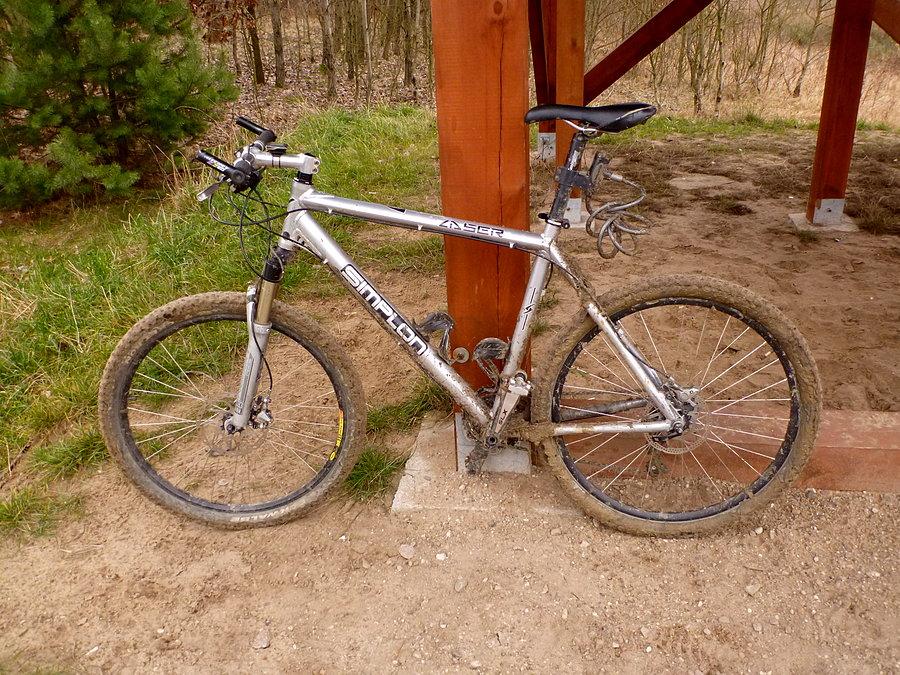 Simlon pod wieżą widokową Warszewskiego Wodozbioru - 53.493985,14.556892