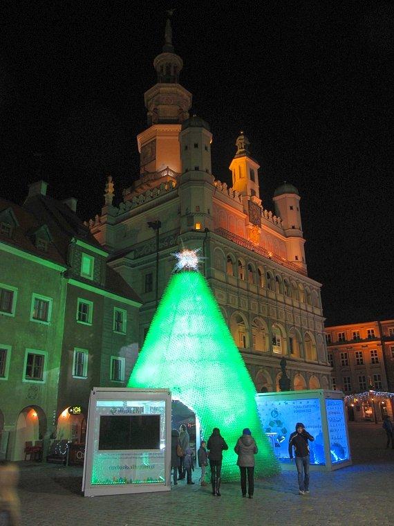 Ekologiczna choinka na Rynku w Poznaniu