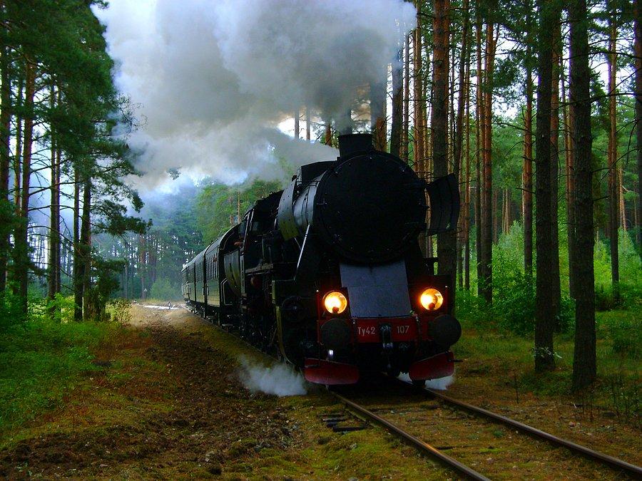 Ty42-107 prowadzi pociąg retro ze Spały do Tomaszowa Mazowieckiego w ramach Dożynek Prezydenckich 2013
