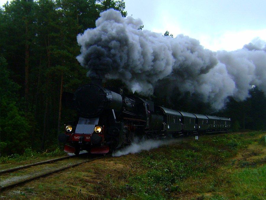Ty42-107 prowadzi pociąg retro ze Spały do Tomaszowa Mazowieckiego w ramach Dożynek Prezydenckich 2013
