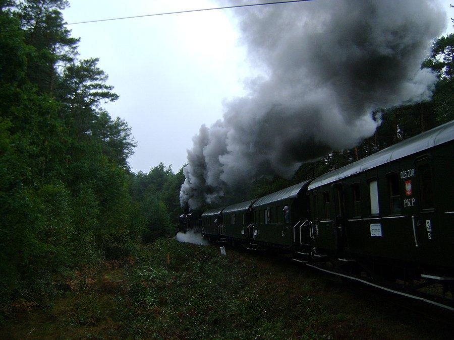 Ty42-107 prowadzi pociąg retro ze Spały do Tomaszowa Mazowieckiego w ramach Dożynek Prezydenckich 2013