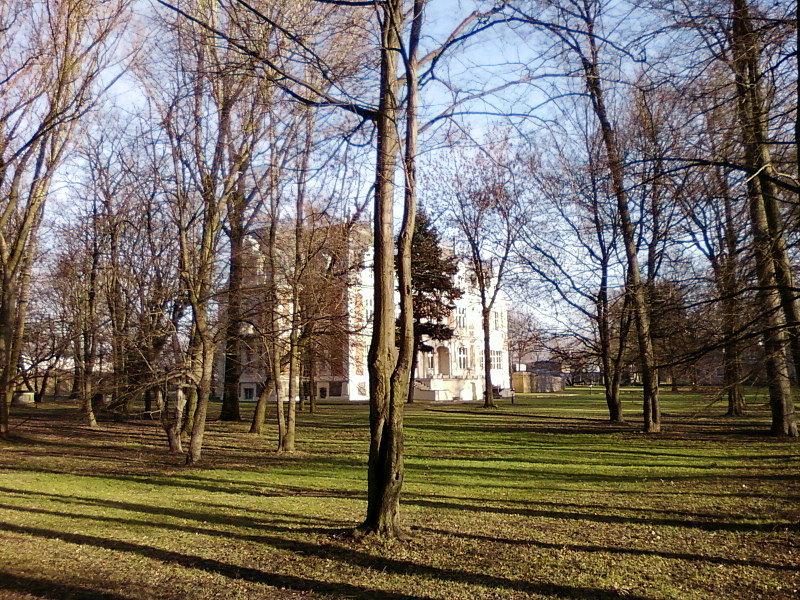 Pałac w Ksawerowie