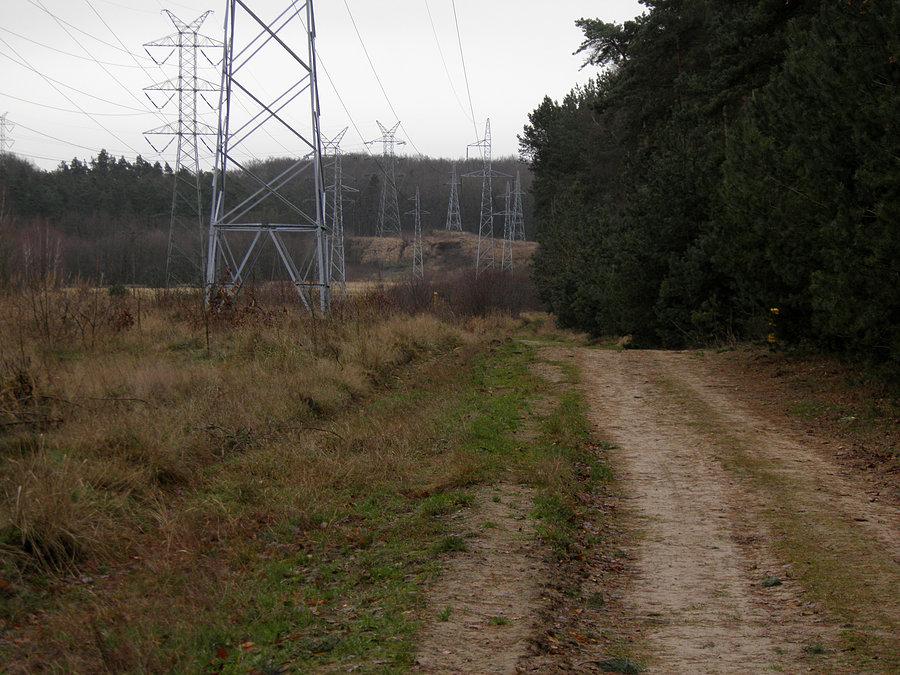 Przecinka leśna od Siedlic w kierunku Przęsocina - 21 grudnia 13 r