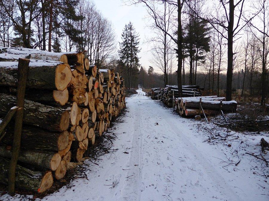 Lubię takie klimaty