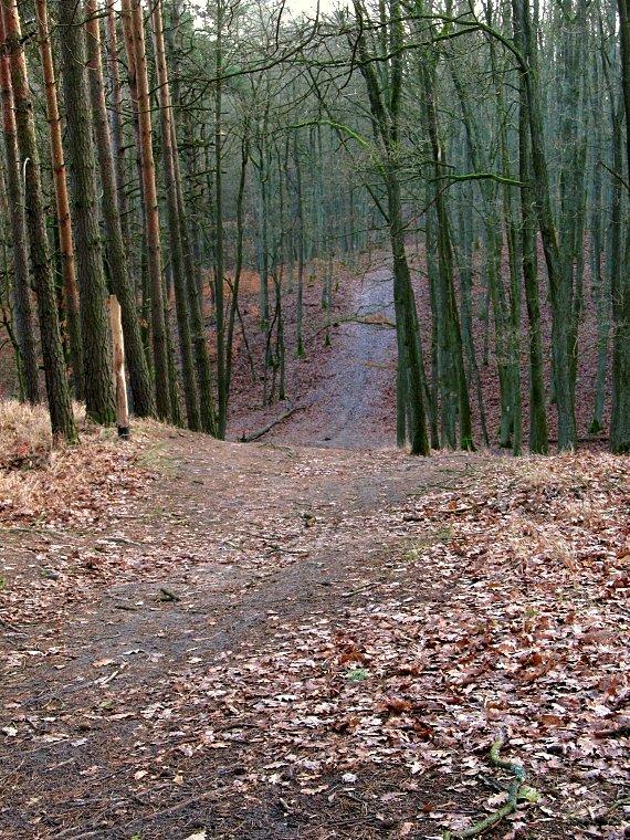 No i super tereny do szaleństw mtb na Dziewiczej Górze