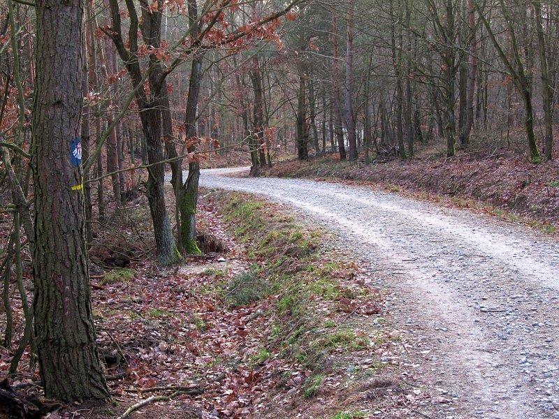 Podjazd na szczyt Dziewiczej Góry