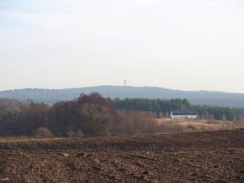 Dziewicza Góra widziana z drogi Poznań - Biedrusko na wysokości Radojewa