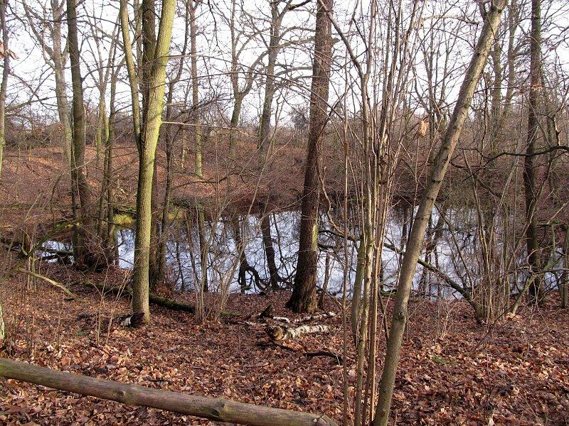 Krater średniej wielkości w rezerwacie Meteoryt Morasko