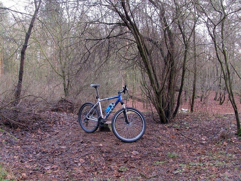 Na szczycie Góry Moraskiej - 153,8 m.n.p.m