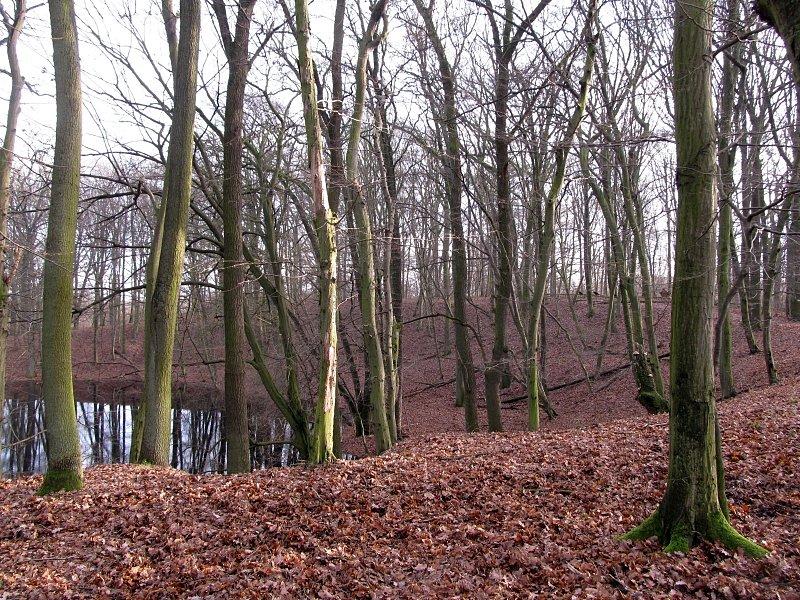 Rzerwat Meteoryt Morasko - meteoryt ładnie ukształtował powierzchnię