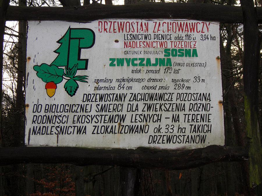Tablica informacyjna przy drodze 114 - tuż za Trzebieżą