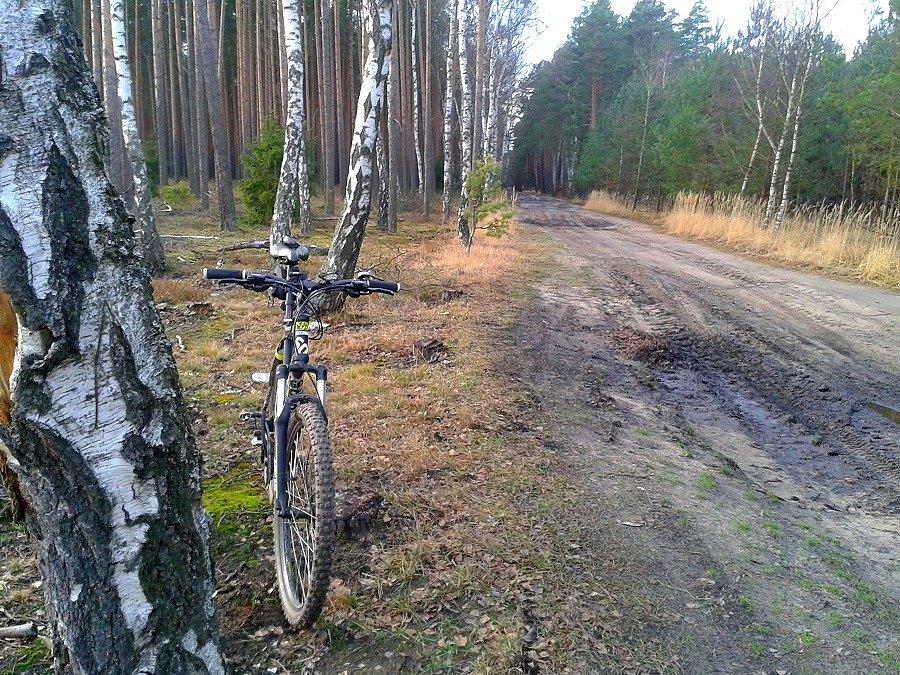 Droga między Niedźwiedziem a Zdunowem