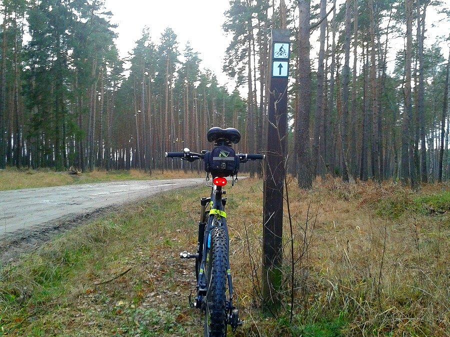 Szlak rowerowy z Sowna do Wielgowa