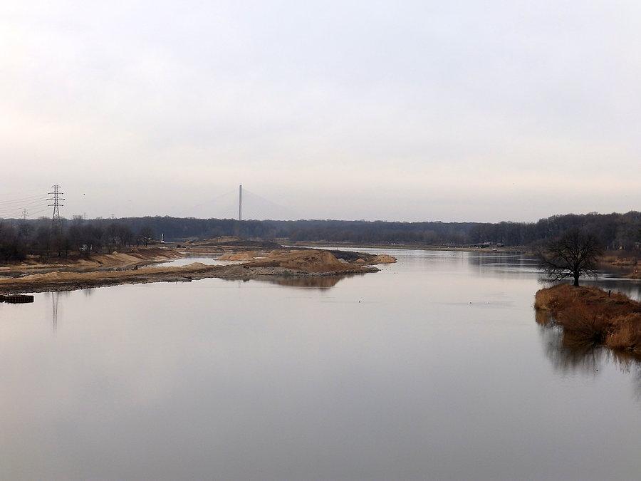 Odra poniżej Mostu Milenijnego