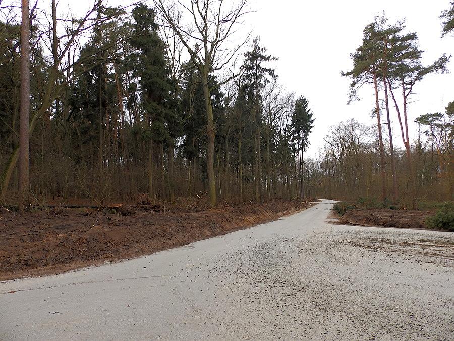 Nowa droga leśna w Brzezinie