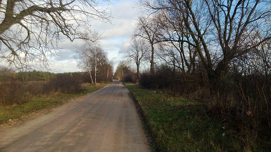 Wiosena pogoda w dniu 23.12.2013r