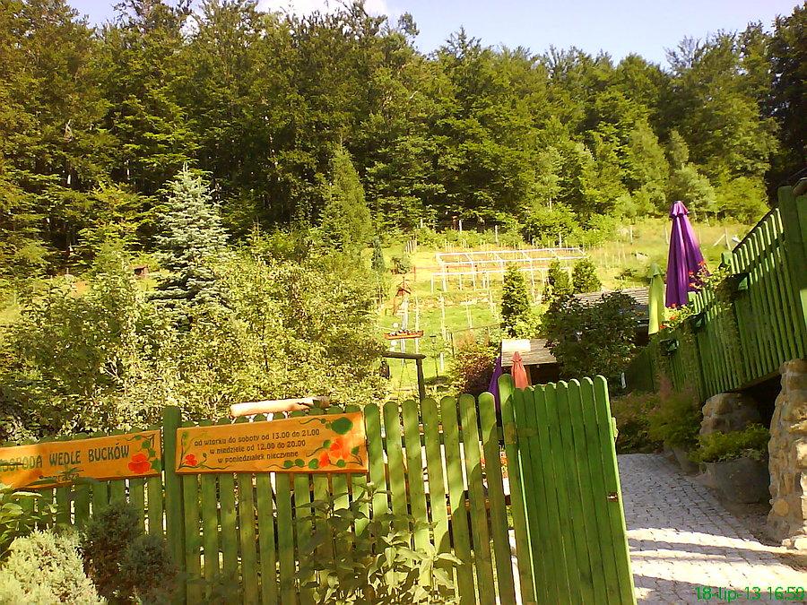 Pierwsza Winnica Karkonoska - praktyczne zastosowanie tamtejszego mikroklimatu