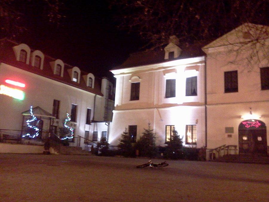 Zebrzydowice zamek