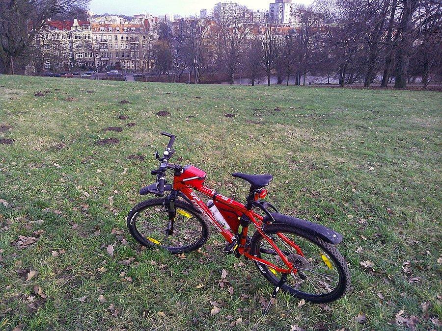 Wiosenny Szczecin w grudniu