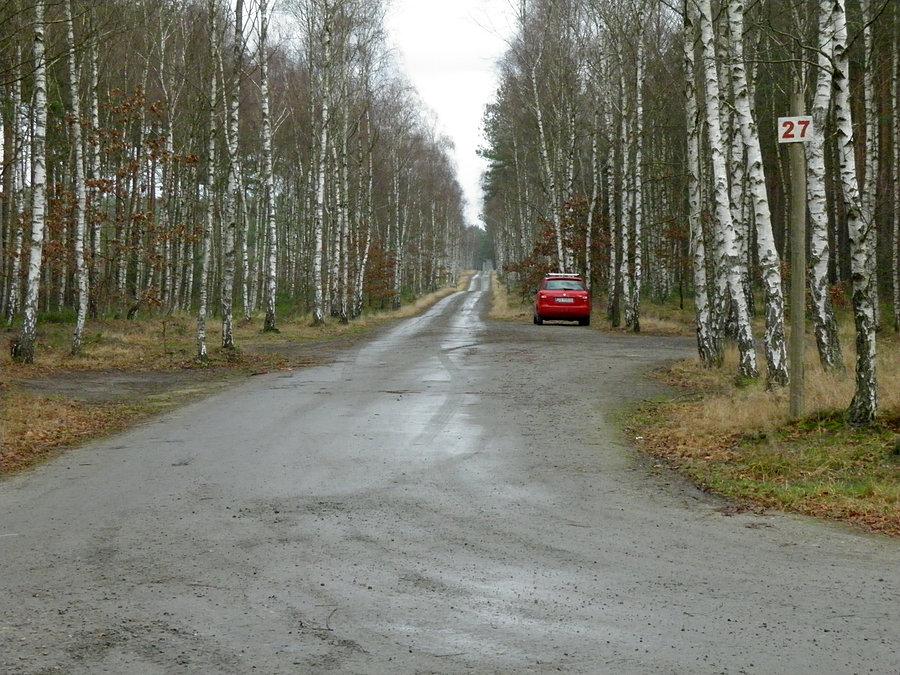 Leśna droga nr 27 ulubiona nie tylko przez Tunię - 25 grudnia 13 r