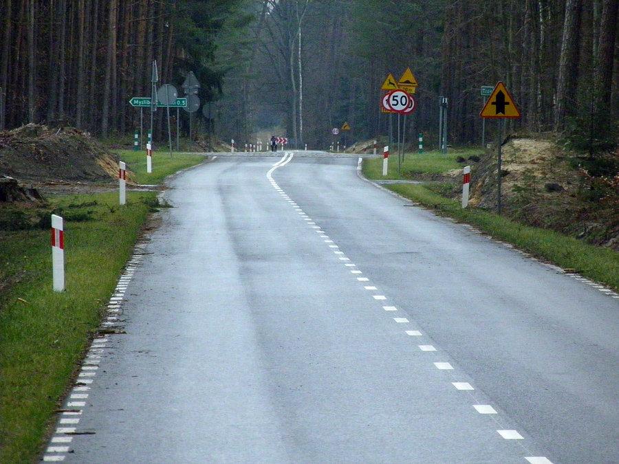 Droga w lewo do Myśliborza Wielkiego, w prawo 13 km do Trzebieży
