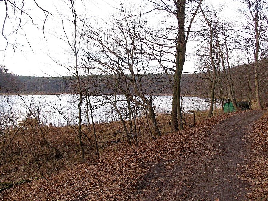 Puszcza Zielonka