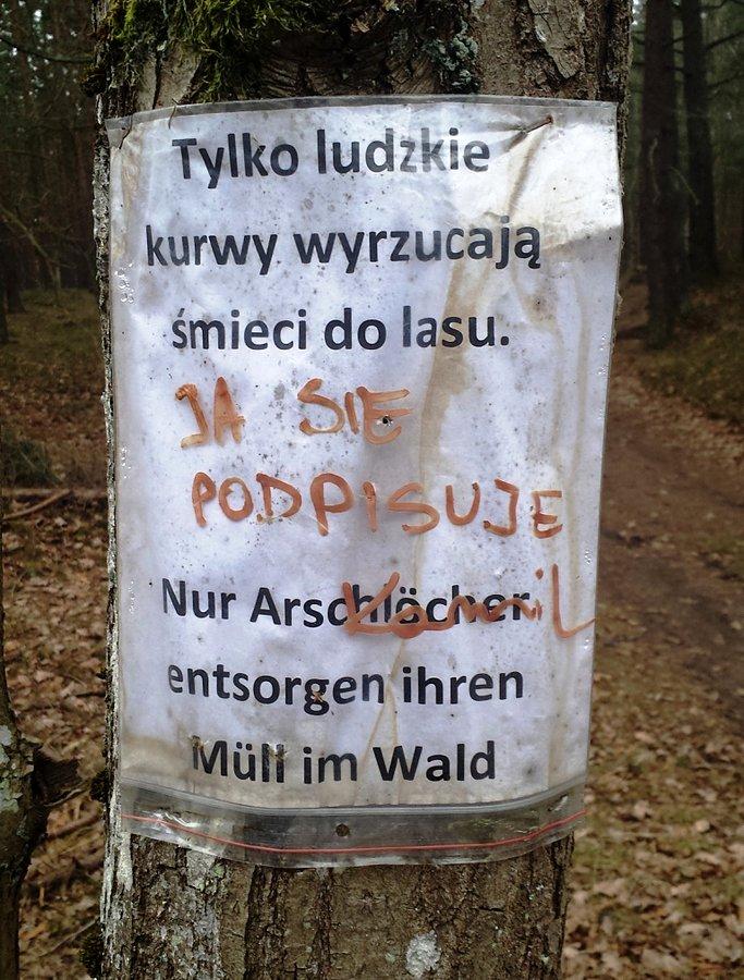 Manifest środowiskowy
