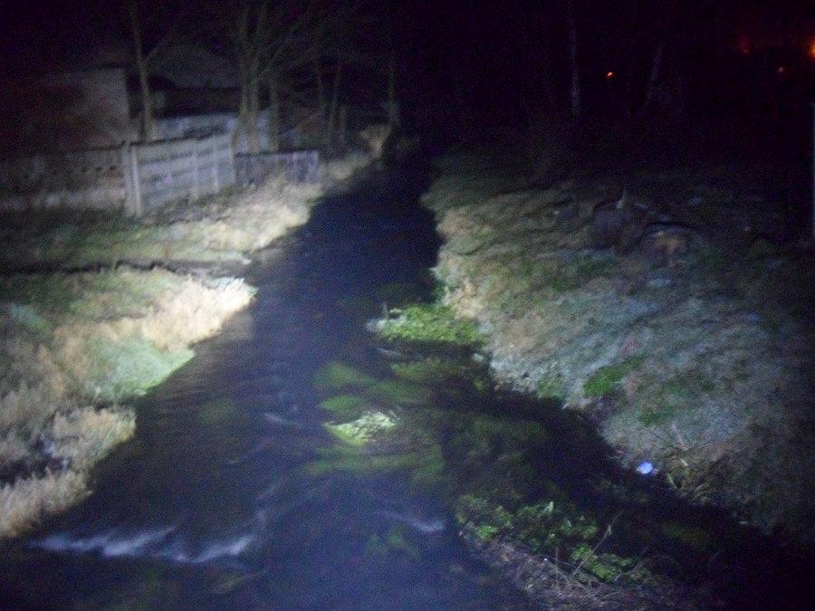 Czarna okrza nocą