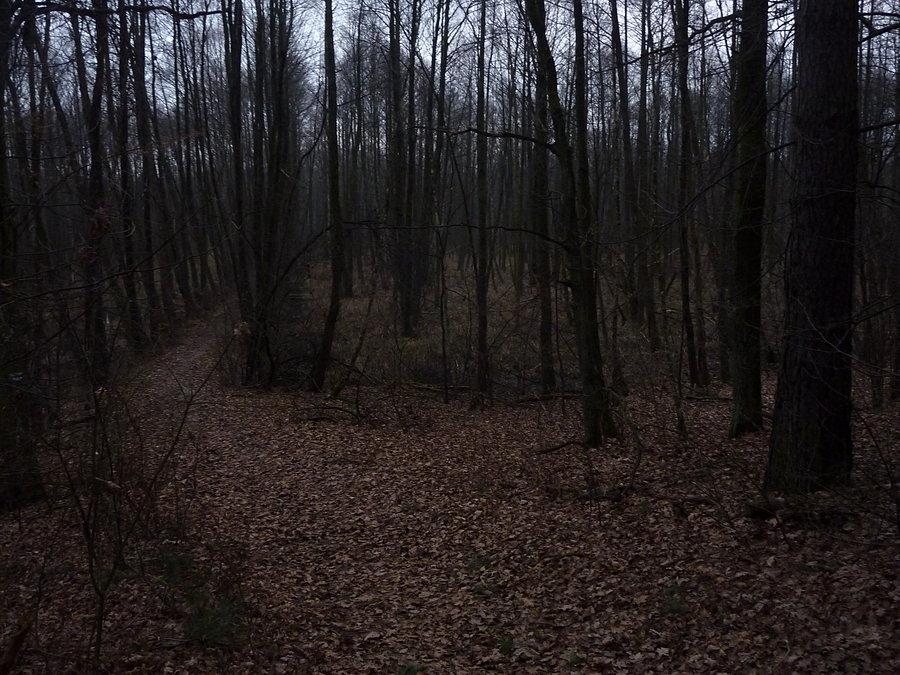 Grudniowe Karpaty