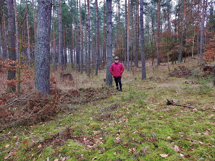 Na trasie wycieczki. Las Rokicki