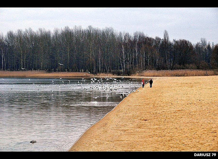 Pogoria 3 - Dąbrowa Górnicza