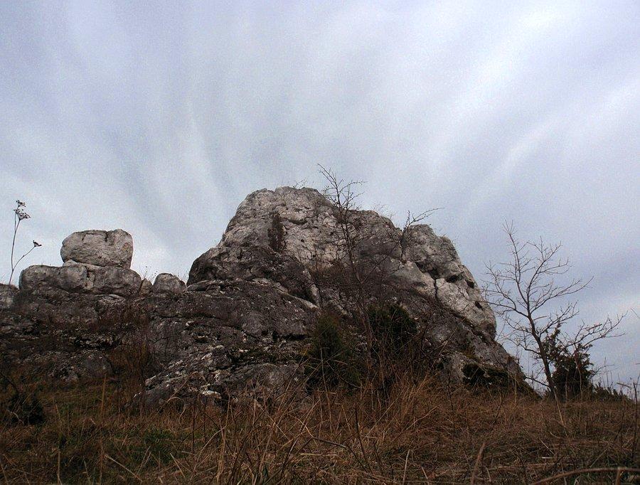 W Górach Towarnych