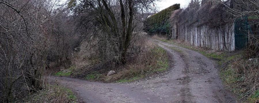 Fragment terenowej Rundy Drogbasa