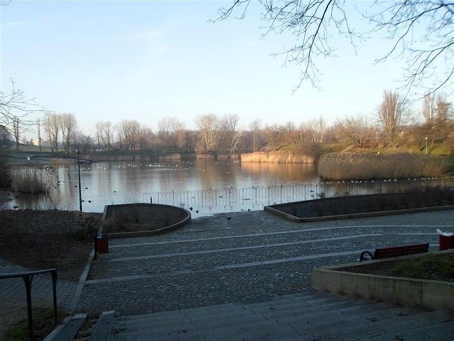 Błękit jeziora dokoła