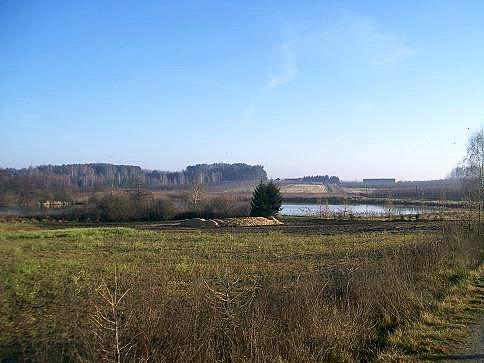 Gdzieś po drodze z Zalesia do Przybyszewa- piękny grudniowy poranek