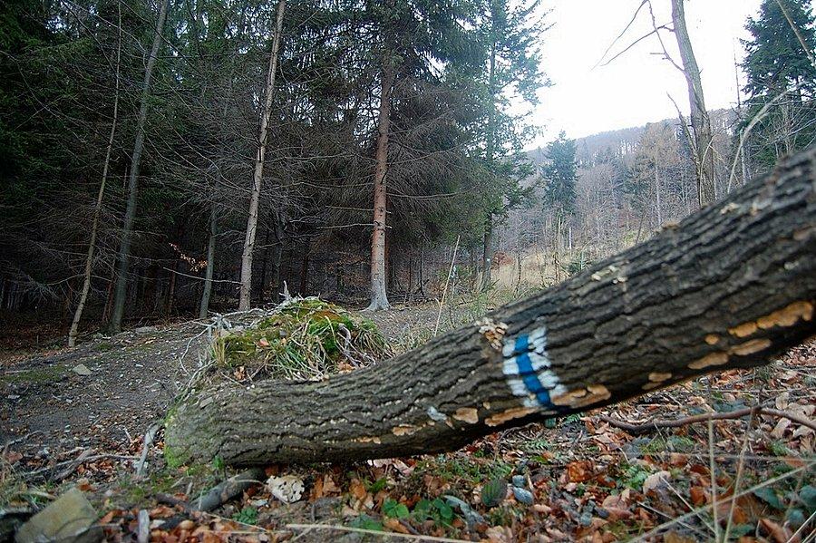 Niebieski szlak Lipnik -Gaiki