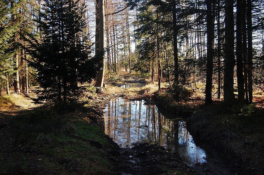Kałuże na Gaikach
