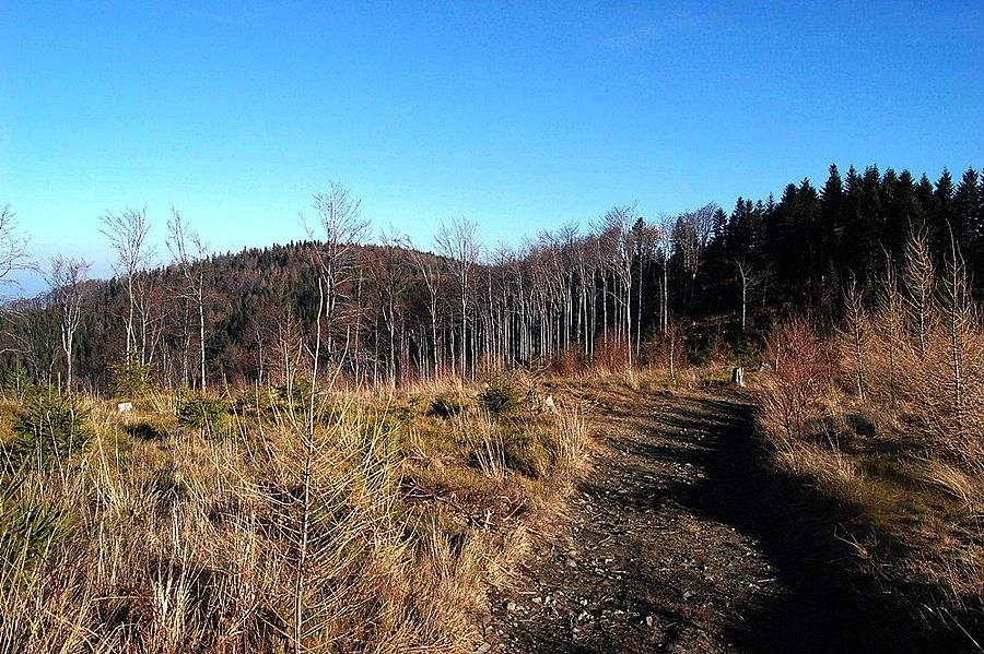 Widok na Groniczki