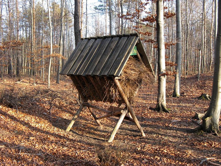 Paśnik