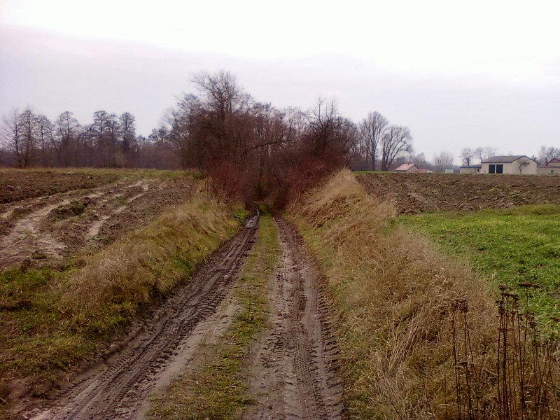 Zjazd wąwozem