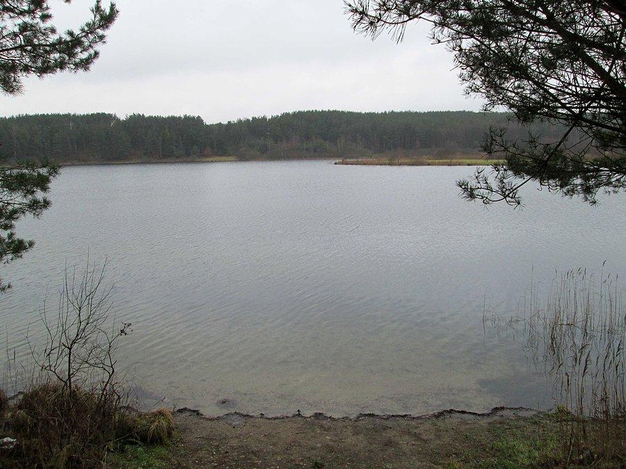 Nad Jeziorem Żuromino