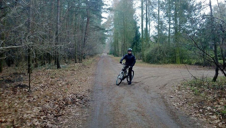 Leśne