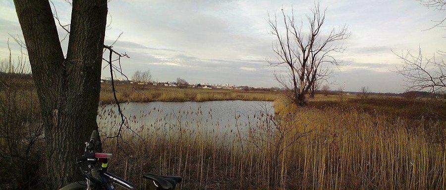 Jezioro Żabie